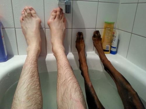 airrogance:  c0rp0ratehippie:  hayleu:  this truly scared me i thought the legs on the right were some crispy burnt up human legs i need a minute to breathe  CRISPY BURNT UP HUMAN LEGS  look at their damn toes what the fuck 