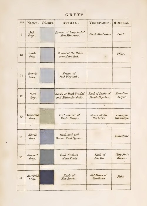 nobrashfestivity:   Patrick Syme, Charts for Werner’s Nomenclature of Colours: Adapted to Zoology, Botany, Chemistry, Mineralogy, Anatomy, and the Arts, 1821 Via brainpickings 