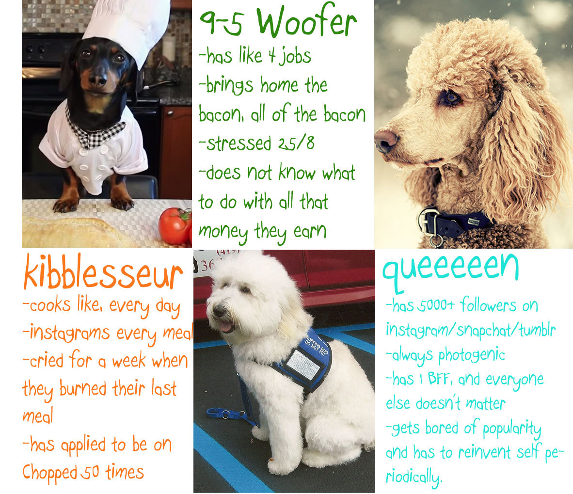 doctornsara: TAG YOURSELF: Doggo edition I made a thing for my other blog @good-dog-girls ‘s