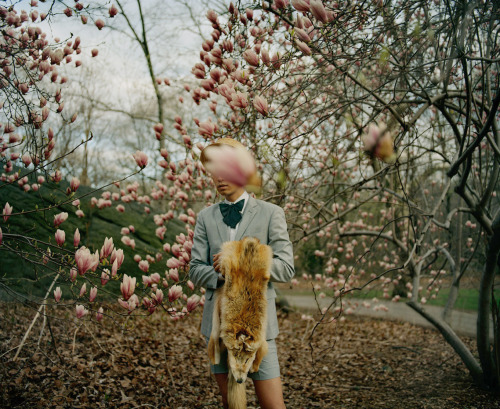 mpdrolet:   From Our Friendship Went Into The Woods Sarah Wilmer  
