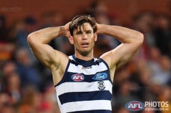 dylanbangbang:Geelong’s super stud. Tom Hawkins