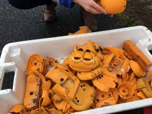 spectrometrie:For 35 years, Garfield phone cases have been washing up on Brittany