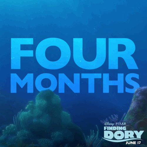 Time To Play Hide-and-sea! Finding Dory Is Swimming Into Theatres In 3D In Four Months. #HaveYouSeenHer?