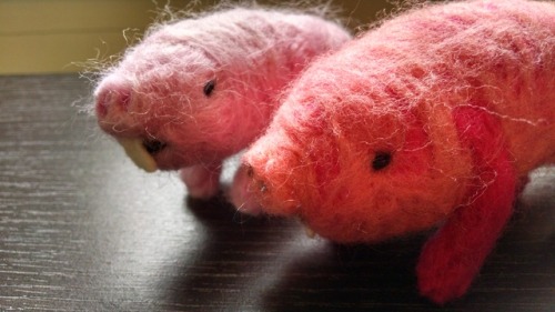 New needle felts of mine are up on my Etsy site, Plush Pangolin Creations. At the moment, the descri