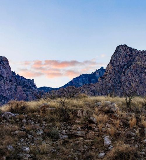 Small puff of clouds hanging in the sky ☁️ (swipe for stylized version) . . . . #catalinastatepark #