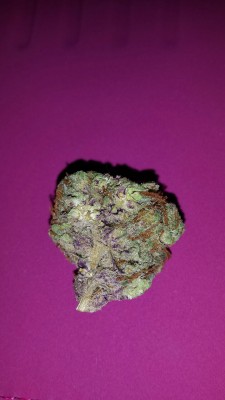 therealsmokeyyyy:  Purple red and green