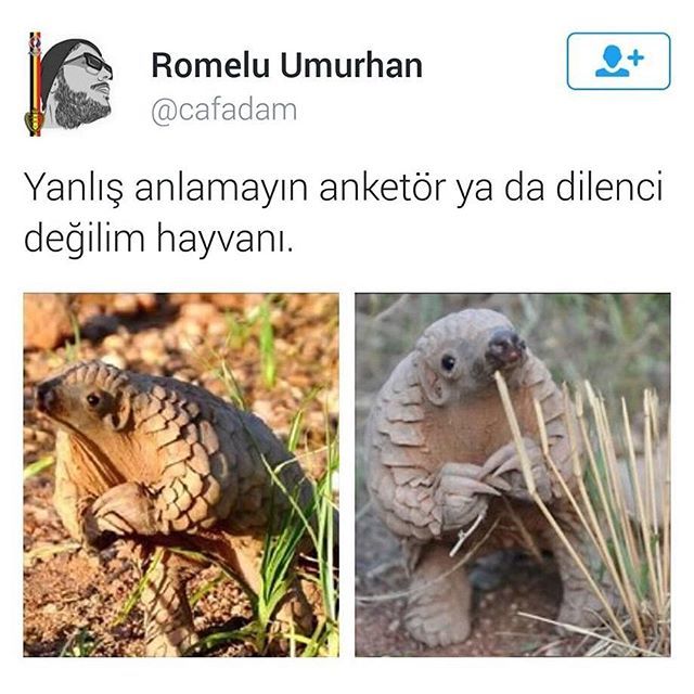 Yanlış anlamayın anketör...