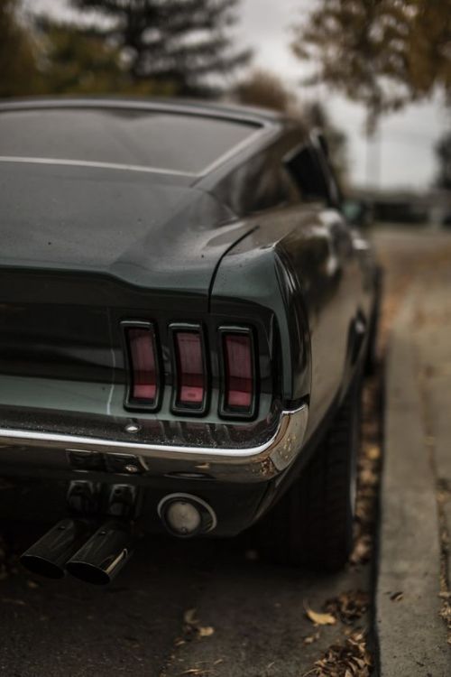 moment-japan:Mustang Fastback   Dat ass though 😍😏🤤🥵