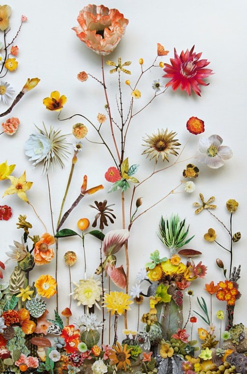 asylum-art:  Delicate Flower Constructions By  Anne Ten Donkelaarnetherlands-based artist anne ten donkelaar constructs her intricate flowerscapes using both real pressed flowers that she collects collaged with paper floral elements. the series of three-d