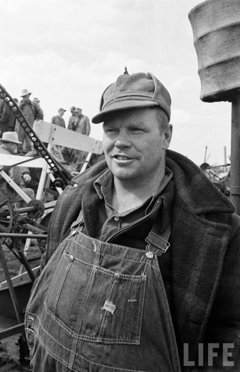 Farm equipment auction(George Skadding. 1950)