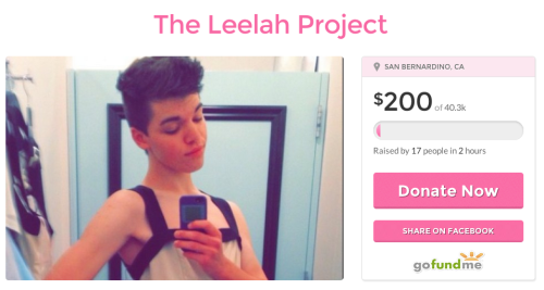 fuckyeahzarry:  Alex Yrigoyen’s mission statement on GoFundMe:  “Shortly after hearing of [Leelah’s] death, I made a post on my blog offering to donate 3 boxes worth of clothes I don’t wear anymore along with make-up and wigs to trans women