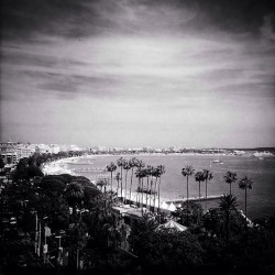 gettyimages:  Repost from @vittoriozuninocelotto Cannes landscape in black and white #cannesfilmfestival #gettycannes @gettyfashion