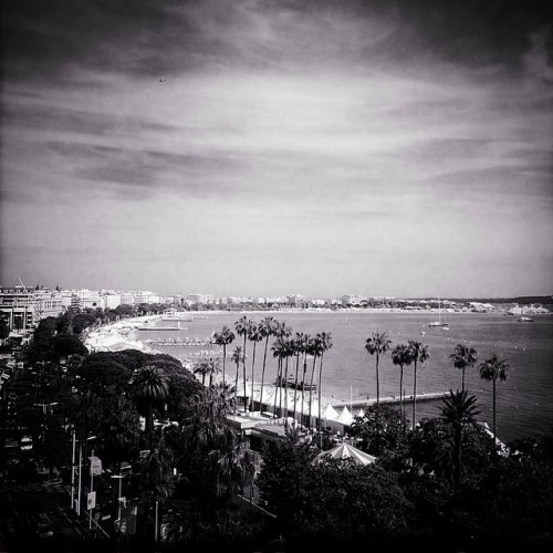 gettyimages:  Repost from @vittoriozuninocelotto Cannes landscape in black and white #cannesfilmfestival #gettycannes @gettyfashion