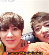 violraptaer:  A minute of our precious SHINee in their natural habitat  