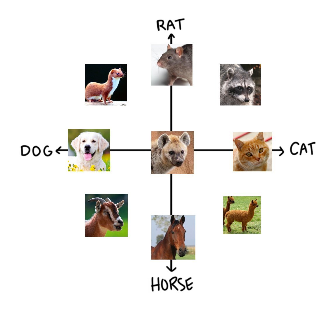 Мужчина крыса и собака. Собака кот и крыса. Собака крыса. Кот собака и лошадь. Мем с животными и именами.