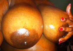 phatbootypredator:  mista815:  Nice breasts!