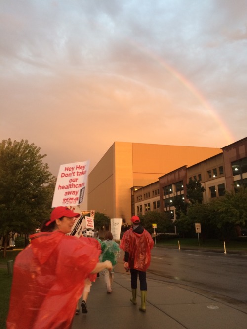 Last night we picketed with the striking Allina nurses. GO MNA!! But guys, GUYS! THEY HAD A BAGPIPER