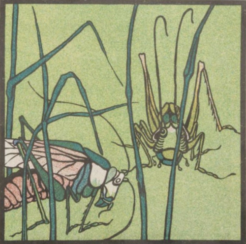 Grasshoppers - Franz von Zülow - 1903 - via MAK Collection