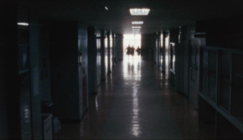 lostinpersona: Water Flower, Yusuke Kinoshita (2005)  