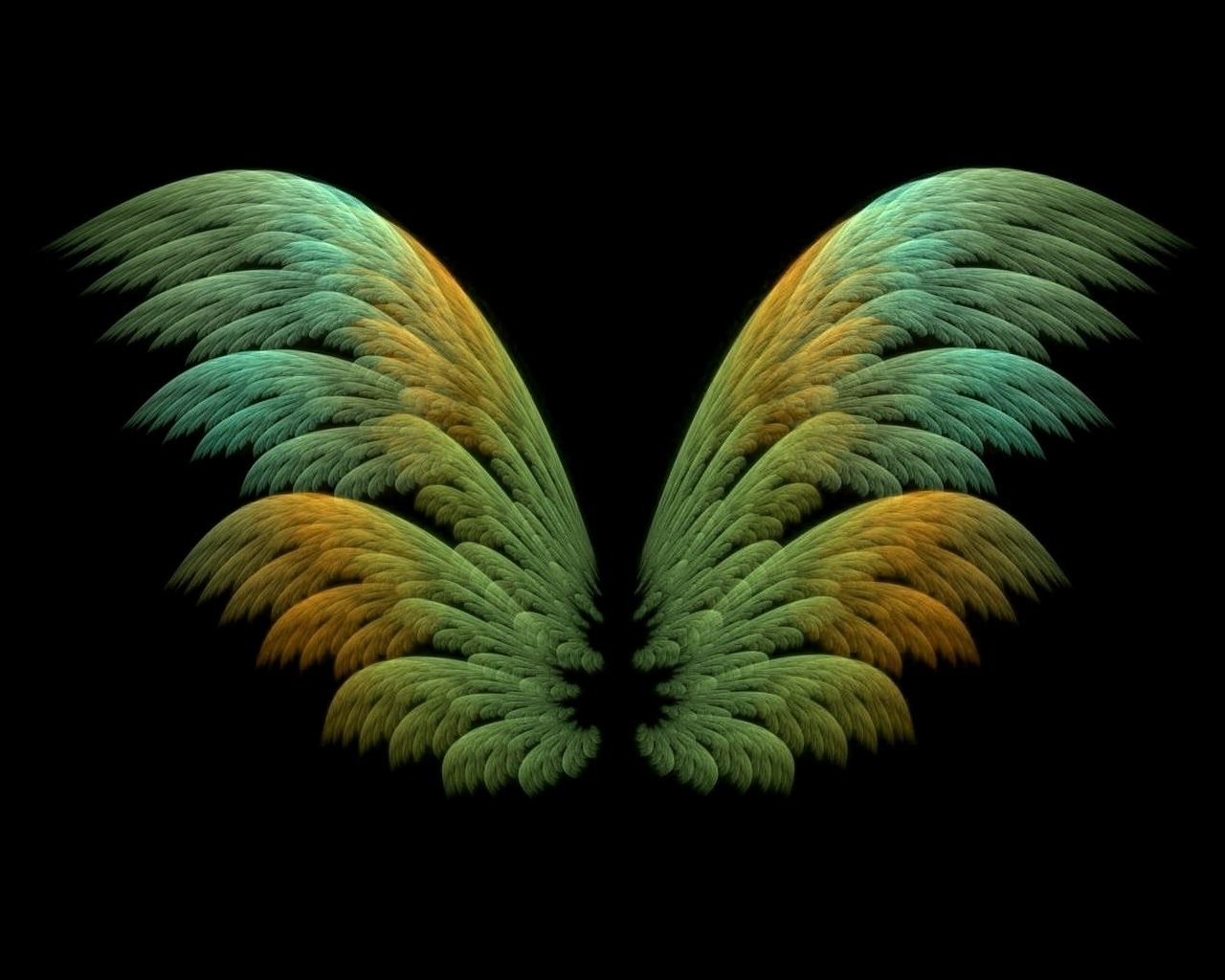coffeenuts:  Empty Wings by Gibson125