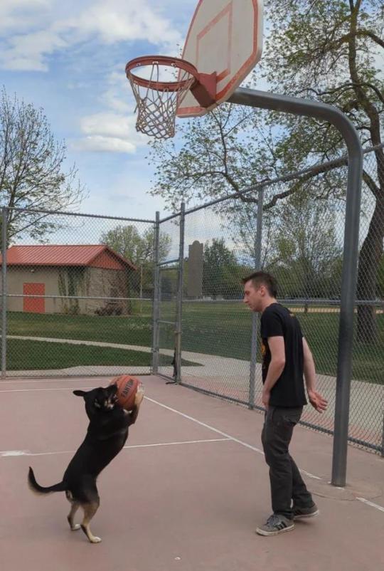 Love and basketball🐶🏀 #Cute#Sweet#Aww#awesome