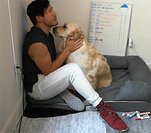dogiplier:  SUCH A GOOD GIRL
