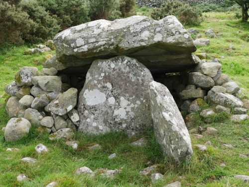 Cors y Gedol Burial Chamber, near Barmouth, North Wales, 13.8.16. This portal dolmen has an amazing 