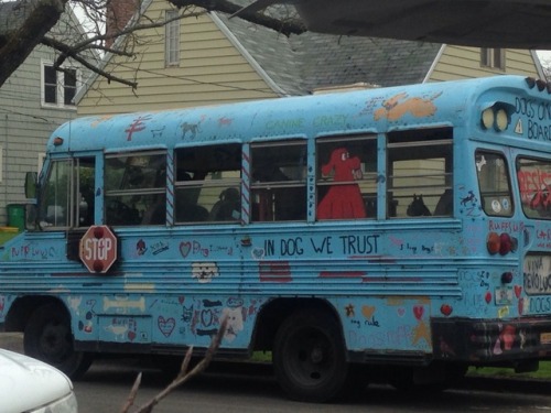 ymirsbian:kramergate:I’m in Portland and there’s a bus filled with like 8-10 dogs? just 