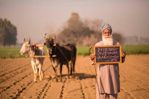 ColorsOfPunjab