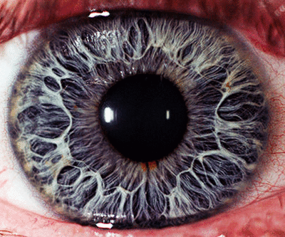 kill-the-clown:  ☯A psychedelic blog …what? Limits, like fear, are often an illusion. ☯ 