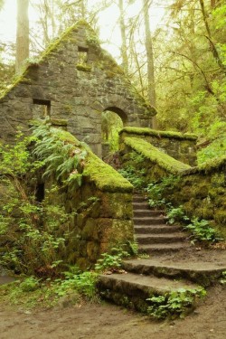 photorator:  Abandoned Stone House in Balch