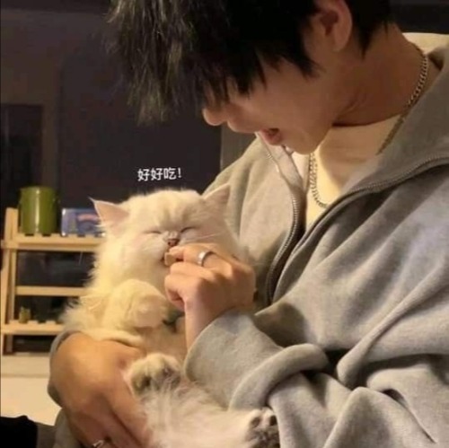 Wen Junhui As A Cat Dad.