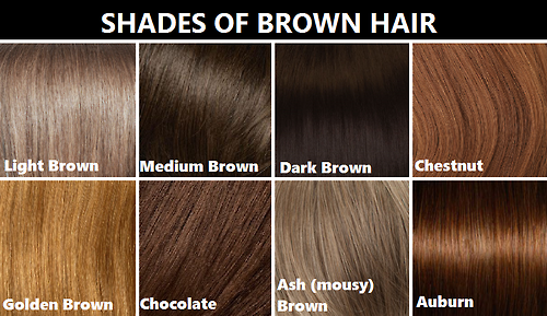 Everything 4 Writers — Brown and Blonde Hair Shades - good for character...