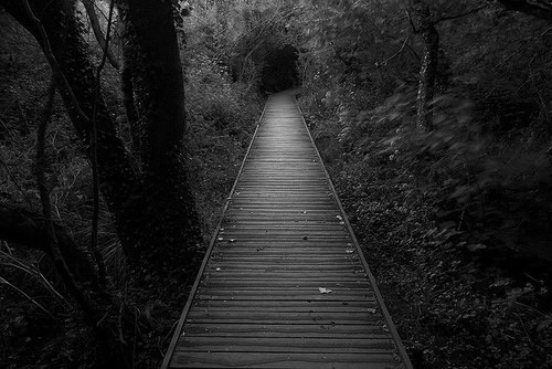 Into the unknown…I walk, alone.