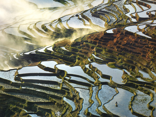 nevver:Levels, Thierry Bornier