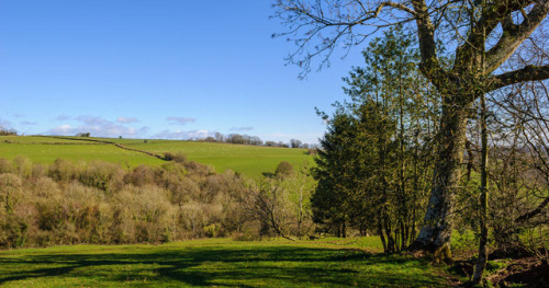 countryside