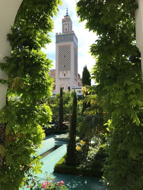 nereydes:Grande mosquée de Paris