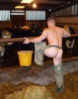 broswithoutclothes:  The cows respect it,