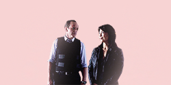 brittanias:agents of shield meme: four relationships [2/4]: phil coulson/melinda mayi don’t know if 