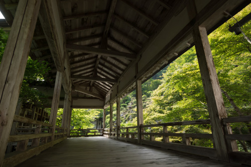 sobaslut: temple in summer by Yoshi Shimamura Via Flickr: Taken at Joshokoji temple(常照皇寺) at norther