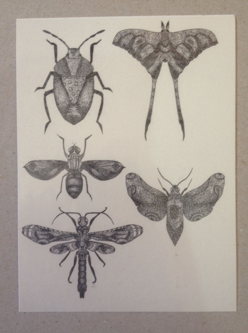 princessdinky:  pssst!! you can now buy these- five bug friends waitin just for you.