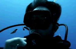 bacathedr:  only——gifs:  Follow me! 