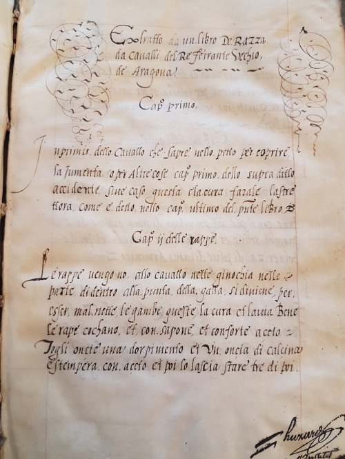 LJS 29 - Extratto da un libro de razza da cavalli del re Ferrante vechio de Aragona This is a treati