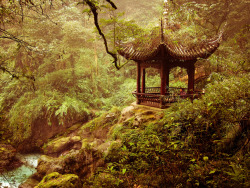 brutalgeneration:  EmeiShan (by amira_a) 