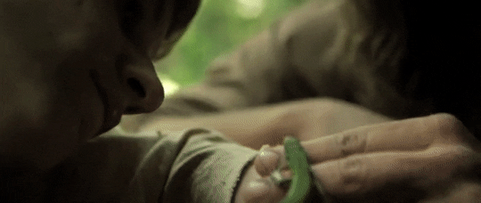 f8a71754c9fe992e01a452941b662599d33be67d.gifv