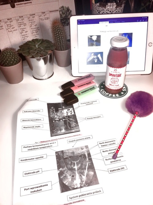 Me, Smoothie & Bioprocess Engineering. 