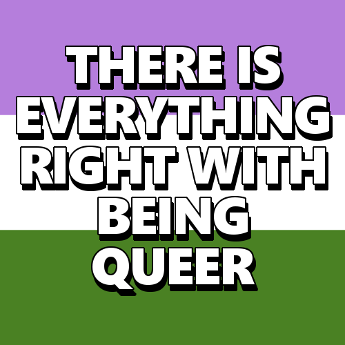 queerlection:[Image description - Images of a queerplatonic, lesbian, genderqueer, rainbow, pan, bi,