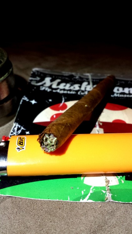 baggedmk6:  2.5 gram purple blunt 