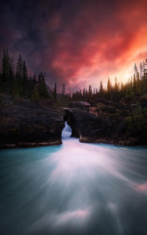 The Gateway by Daniel Greenwood.