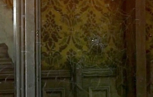 Bullet hole in Disneyland's Haunted Mansion attraction